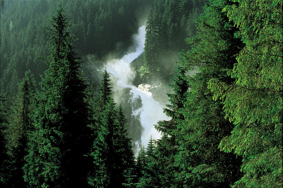 Hotel Oberwirt - Nahe An Saalbach Und Zell Am See, Viehhofen Sommercard Exteriör bild